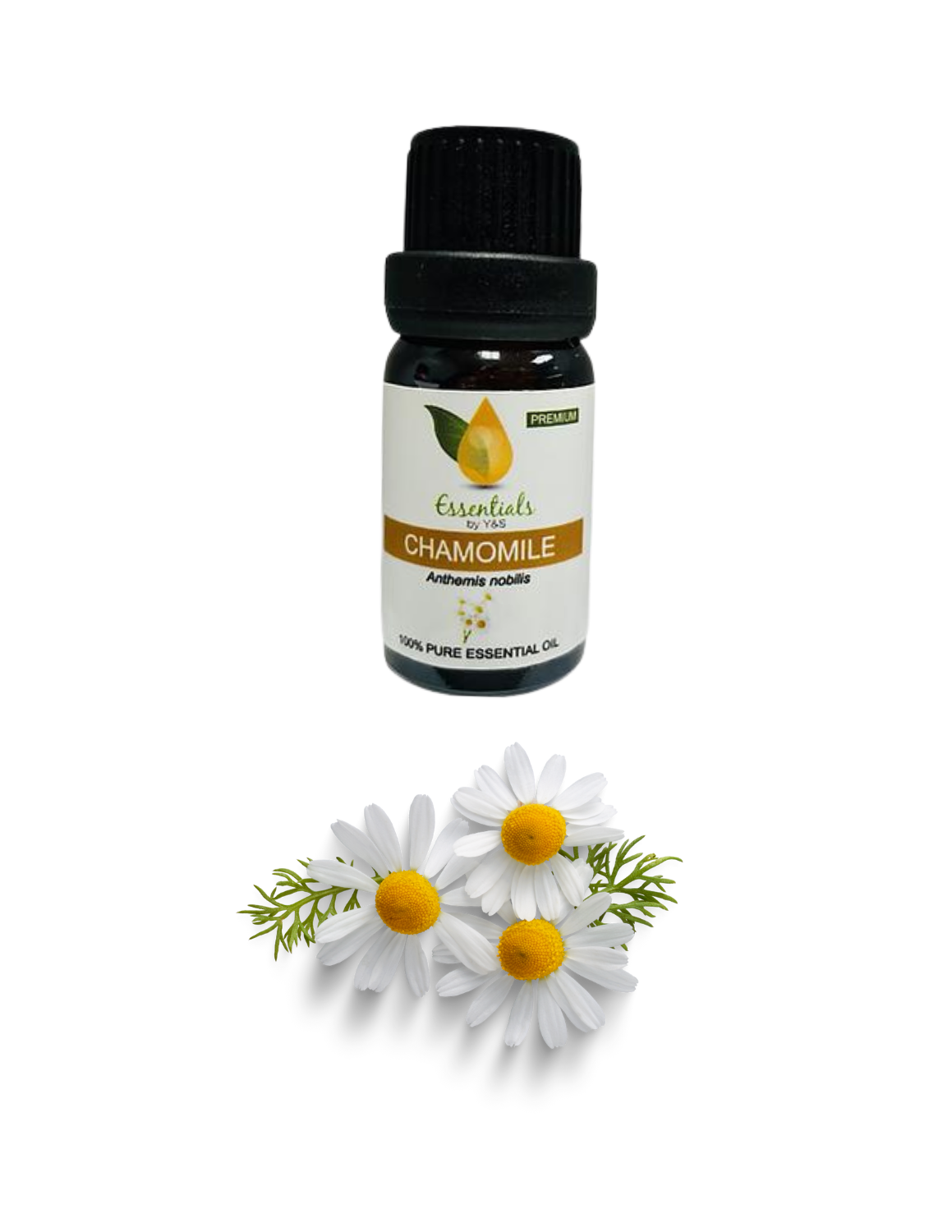 Chamomile Essential Oil