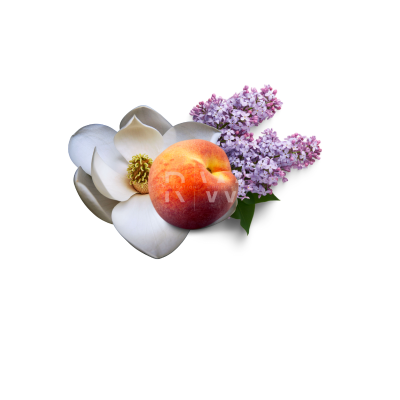 Compare to aroma FEBREZE FRESH AIR FRESHENER & BURNING OIL® (Wholesale)