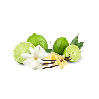 Compare to aroma LIME AIR FRESHENER & BURNING OIL® (CLEARANCE)