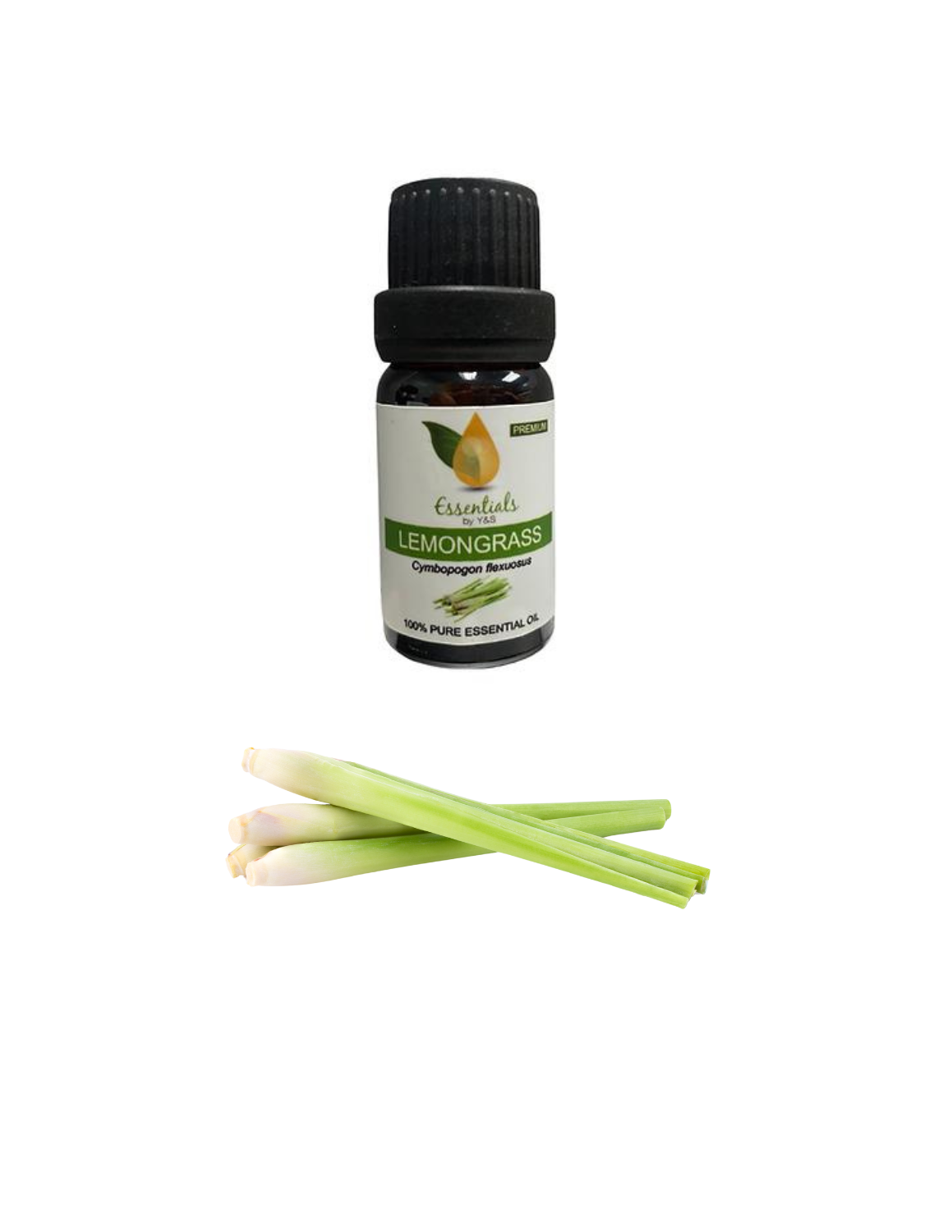 Lemongrass Essential Oil (Wholesale) 5CT