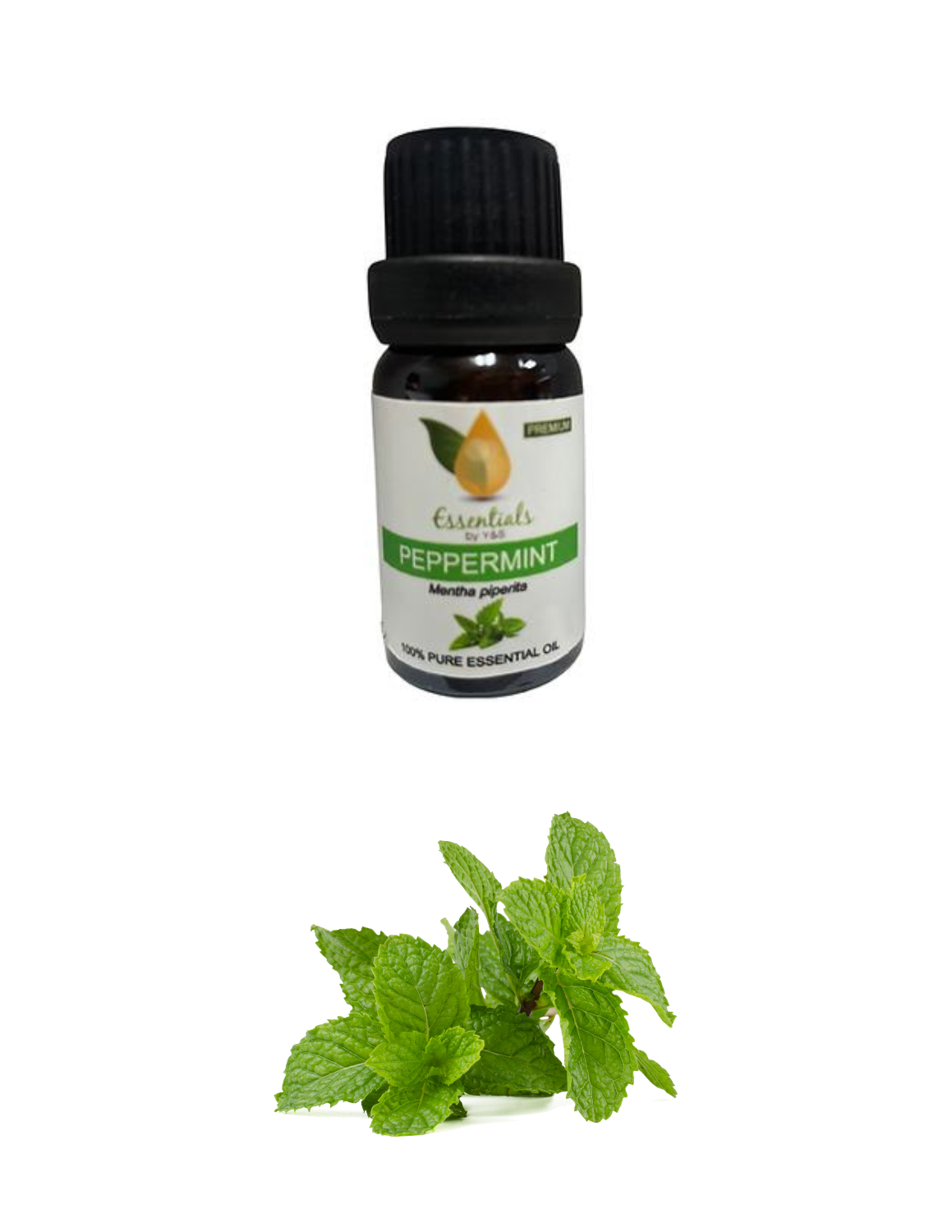 Peppermint Essential Oil (Wholesale) 5CT
