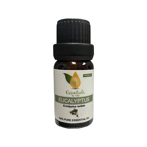 Eucalyptus Essential Oil (Wholesale) 5CT
