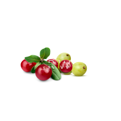 Compare to aroma CRANBERRY AIR FRESHENER & BURNING OIL® (SEASONAL)