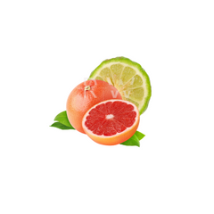 Compare to aroma GRAPEFRUIT AIR FRESHENER & BURNING OIL® (DISCONTINUED)