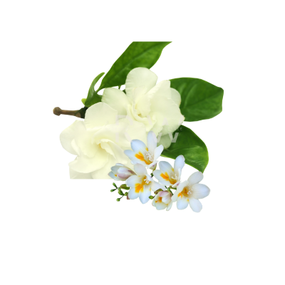 Compare to aroma JASMINE AIR FRESHENER & BURNING OIL® (Wholesale)