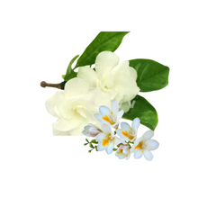 Compare to aroma JASMINE AIR FRESHENER & BURNING OIL®