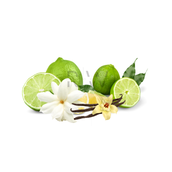 Compare to aroma LIME AIR FRESHENER & BURNING OIL® (DISCONTINUED)