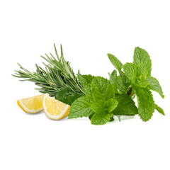 Compare to aroma MINT & ROSEMARY ® (DISCONTINUED)