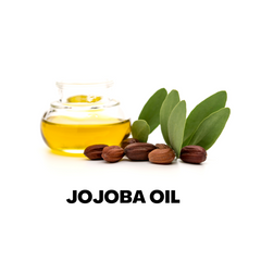 Jojoba (Gold) Carrier Oil  (Wholesale)