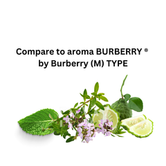 Compare to aroma Burberry (M) by Burberry ®  ~ Body Oil Type