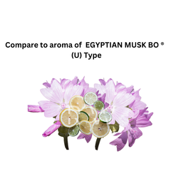 Compare to aroma Egyptian Musk (U) by Ensar Oud  ®  ~ Body Oil Type