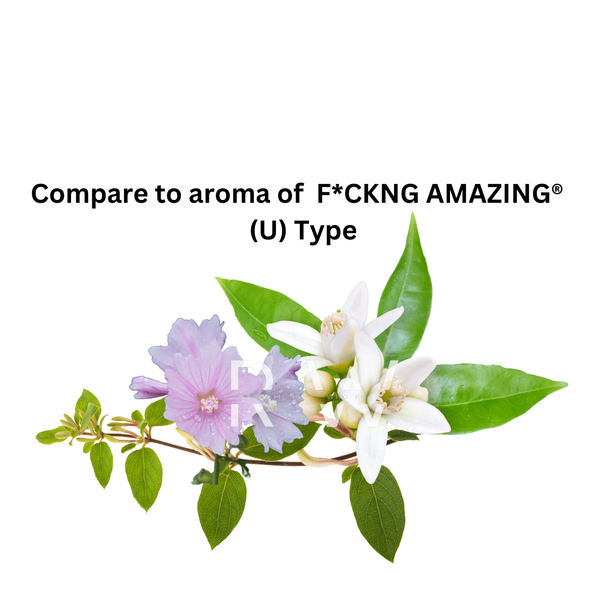 Compare to aroma F*ckng Amazing (U) Regen Signature  ®  ~ Body Oil Type