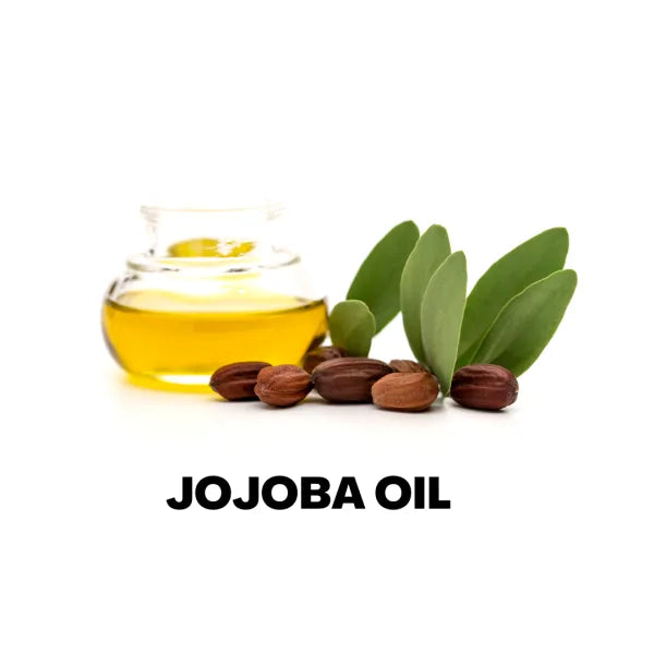 Jojoba (Golden) Carrier Oil - Retail