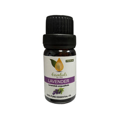 Lavender Essential Oil