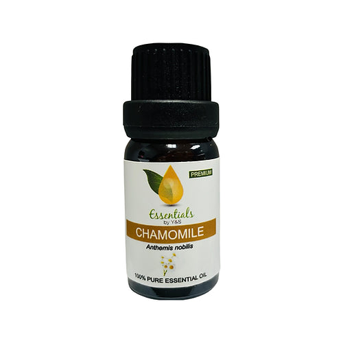 Chamomile Essential Oil